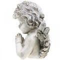 Floristik24 Ángel rezando, floristería funeraria, busto de figura de ángel, decoración de tumba Al 19 cm An 19,5 cm