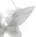 Floristik24 Ala de ángel para colgar blanco 16cm 4pcs