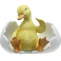 Floristik24 Pollito recién nacido, figura de pato, patito en huevo AL10cm AN12,5cm