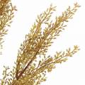Floristik24 Rama de brezo decorativa amarilla, marrón H50cm