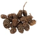 Floristik24 Piñas de aliso, producto natural para decoración y manualidades, color dorado, 3 cm, 300 g