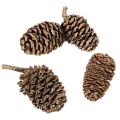 Piñas de aliso, producto