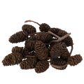 Floristik24 Piñas de aliso naturales, sueltas, para decoración, 3 cm, 300 g, color marrón natural.