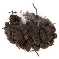 Piñas de aliso naturales,