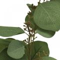 Floristik24 Rama artificial deco eucalipto con cogollos planta artificial 60cm