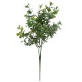 Floristik24 Decoración de eucalipto plantas artificiales ramas de eucalipto 34cm