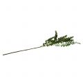 Floristik24 Rama de eucalipto verde 130cm