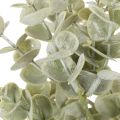 Rama de eucalipto artificial, rama decorativa para jarrones y ramos, 49 cm, 4 unidades. | Floristik24.es