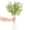 Rama artificial de eucalipto con hojas redondas, 75 cm, 4 piezas | Floristik24.es