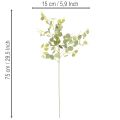 Rama artificial de eucalipto con hojas redondas, 75 cm, 4 piezas | Floristik24.es