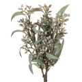 Floristik24 Decoración con ramas de eucalipto artificial, arreglo de ramas, 3 piezas