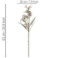 Decoración con ramas de eucalipto artificial, arreglo de ramas, 3 piezas | Floristik24.es