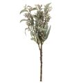 Decoración con ramas de eucalipto artificial, arreglo de ramas, 3 piezas | Floristik24.es