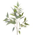 Floristik24 Rama artificial de eucalipto, verde natural, decorativa, 100 cm.