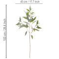 Rama artificial de eucalipto, verde natural, decorativa, 100 cm. | Floristik24.es