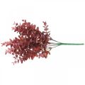Floristik24 Decoración de otoño rama de eucalipto eucalipto artificial rojo 36cm