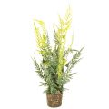 Floristik24 Helecho artificial con cepellón para decoración del hogar y la oficina, 57 cm.