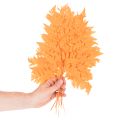 Frondas de helecho secas y preservadas para floristería y decoración otoñal, 42 cm, 10 unidades. | Floristik24.es