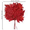 Frondas de helecho preservadas y teñidas, helecho auténtico para arreglos otoñales, 42 cm, 10 unidades | Floristik24.es