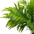 Floristik24 Hojas de palmera decoración de palmeras plantas artificiales verde 30cm 3uds