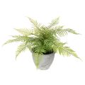 Floristik24 Helecho artificial en maceta para salón y oficina, 35 cm.