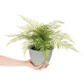 Helecho artificial en maceta para salón y oficina, 35 cm. | Floristik24.es