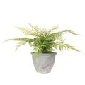 Helecho artificial en maceta para salón y oficina, 35 cm. | Floristik24.es