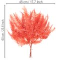 Helechos, flores secas preservadas, decoración otoñal, 60 cm, 10 unidades | Floristik24.es