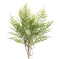 Floristik24 Rama de helecho artificial, planta verde decorativa para arreglos florales, 80 cm.