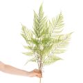 Rama de helecho artificial, planta verde decorativa para arreglos florales, 80 cm. | Floristik24.es