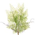Floristik24 Rama artificial de rusco verde para decoración floral, 41 cm.