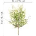 Rama artificial de rusco verde para decoración floral, 41 cm. | Floristik24.es