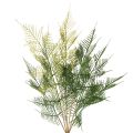 Floristik24 Decoración artificial de rama de helecho, verde, de aspecto realista, 56 cm.