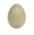 Floristik24 Huevo de faisán verde natural 4,5cm 12uds