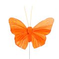 Floristik24 Pluma mariposa 8cm naranja 24pcs