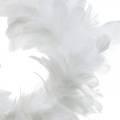 Floristik24 Guirnalda de plumas blancas decoración Ø25cm Decoración de Pascua Plumas reales
