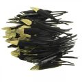 Floristik24 Plumas decorativas plumas reales negras, doradas para manualidades 12-14cm 72ud