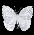 Floristik24 Pluma mariposa 11,5cm con clip blanco 3pcs