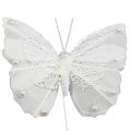 Floristik24 Pluma mariposa 8cm con alambre blanco 12uds