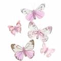 Floristik24 Pluma mariposa rosa en clip 6cm 10 piezas