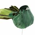 Floristik24 Pluma pájaro en alambre verde 12cm 4uds