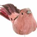 Floristik24 Pluma pájaro en alambre rosa 12cm 4uds