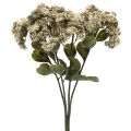 Floristik24 Stonecrop crema sedum stonecrop flores artificiales 48cm 4pcs