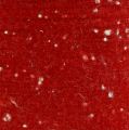 Floristik24 Cinta de fieltro roja con lunares 15cm 5m