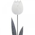 Floristik24 Flor de fieltro fieltro deco flor tulipán blanco H68cm