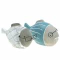 Floristik24 Deco pez con gafas azul blanco 15,5/14,5cm 2uds