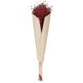 Flores secas decorativas de lino rojo burdeos, 55 cm, 80 g | Floristik24.es