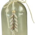 Floristik24 Botellas jarrón de vidrio decorativo conchas de cauri marítimo H26cm 2 piezas