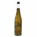 Floristik24 Botella de luz LED blanco cálido 73cm 15L