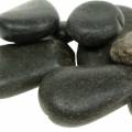 Floristik24 River Pebbles Piedras naturales negras mate Piedras decorativas L15–60mm W15–40mm 2kg